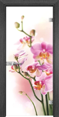 Стъклена Врата Gama Print G 13-2 Сив Кестен