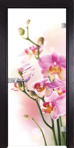 Стъклена Врата Gama Print G 13-2 Венге