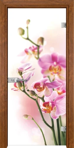 Стъклена Врата Gama Print G 13-2 Златен Дъб