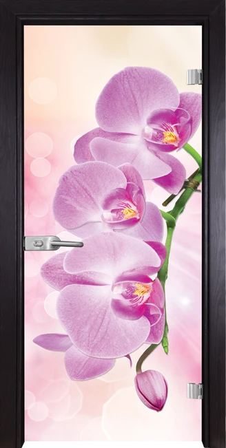 Стъклена Врата Gama Print G 13-3 Pink Венге